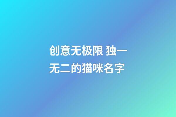 创意无极限 独一无二的猫咪名字